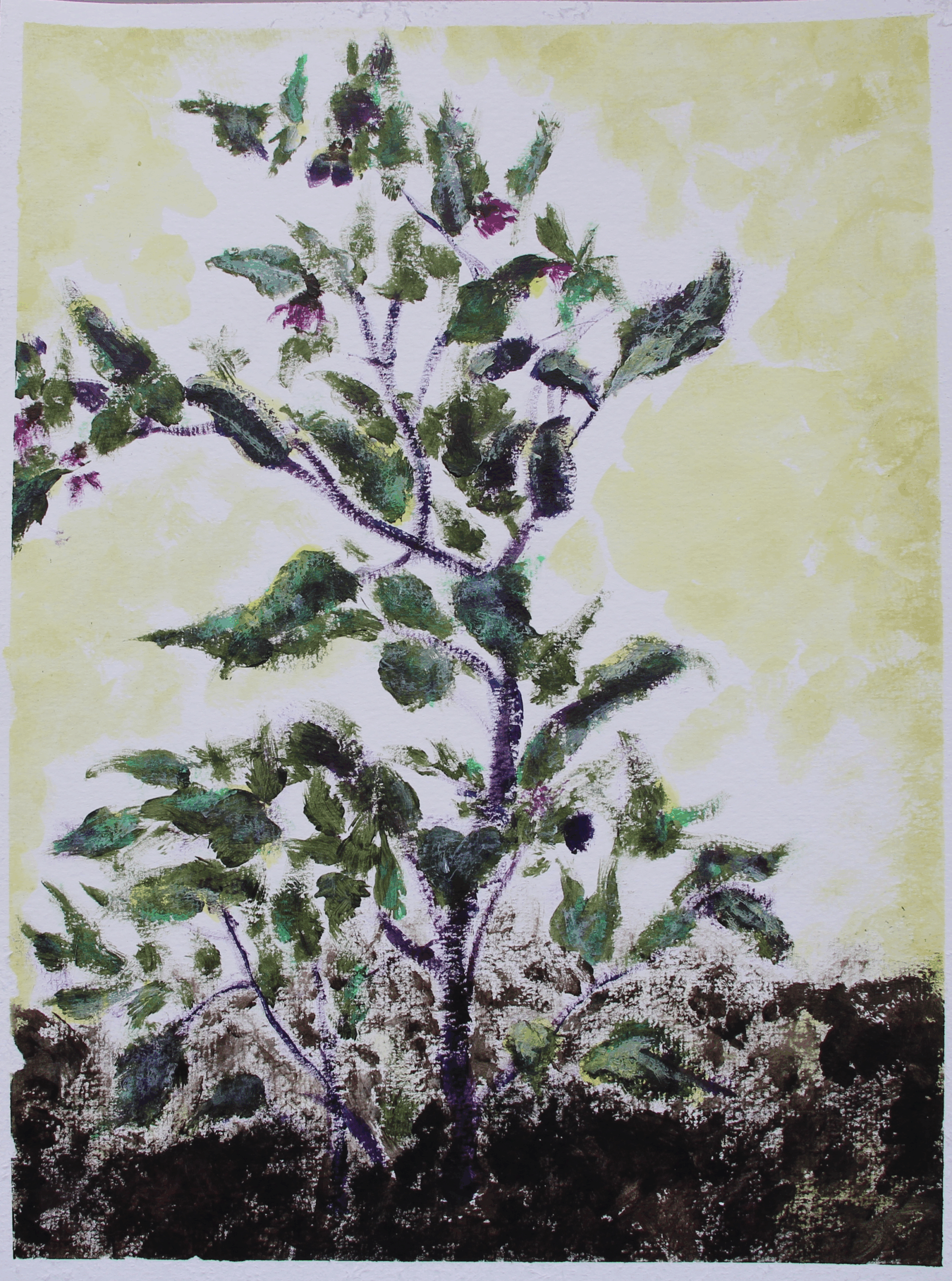 Purple Tiger Chili / Acryl / 12. Juli 2025